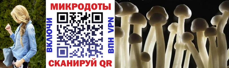 Галлюциногенные грибы мухоморы  Купить где  Новотитаровская 