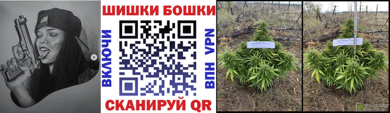 Купить где  Новотитаровская  Конопля гибрид