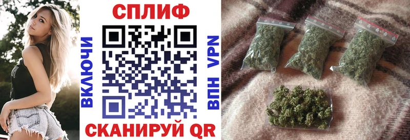 Канабис гибрид Новотитаровская